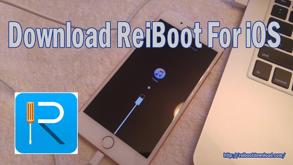 reiboot not detecting iphone